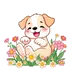 Peekaboopup.Com Logo